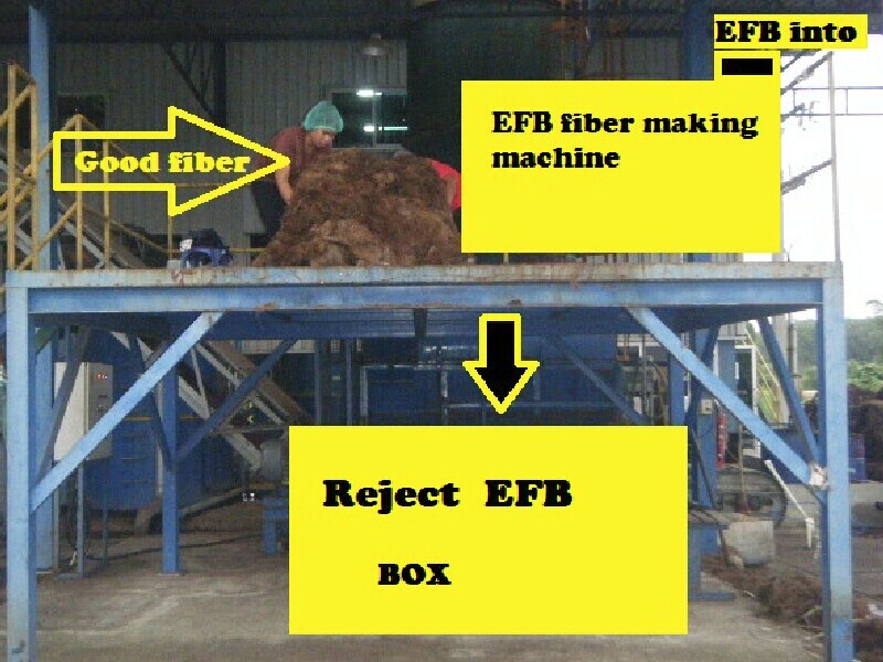 efb fibre making production